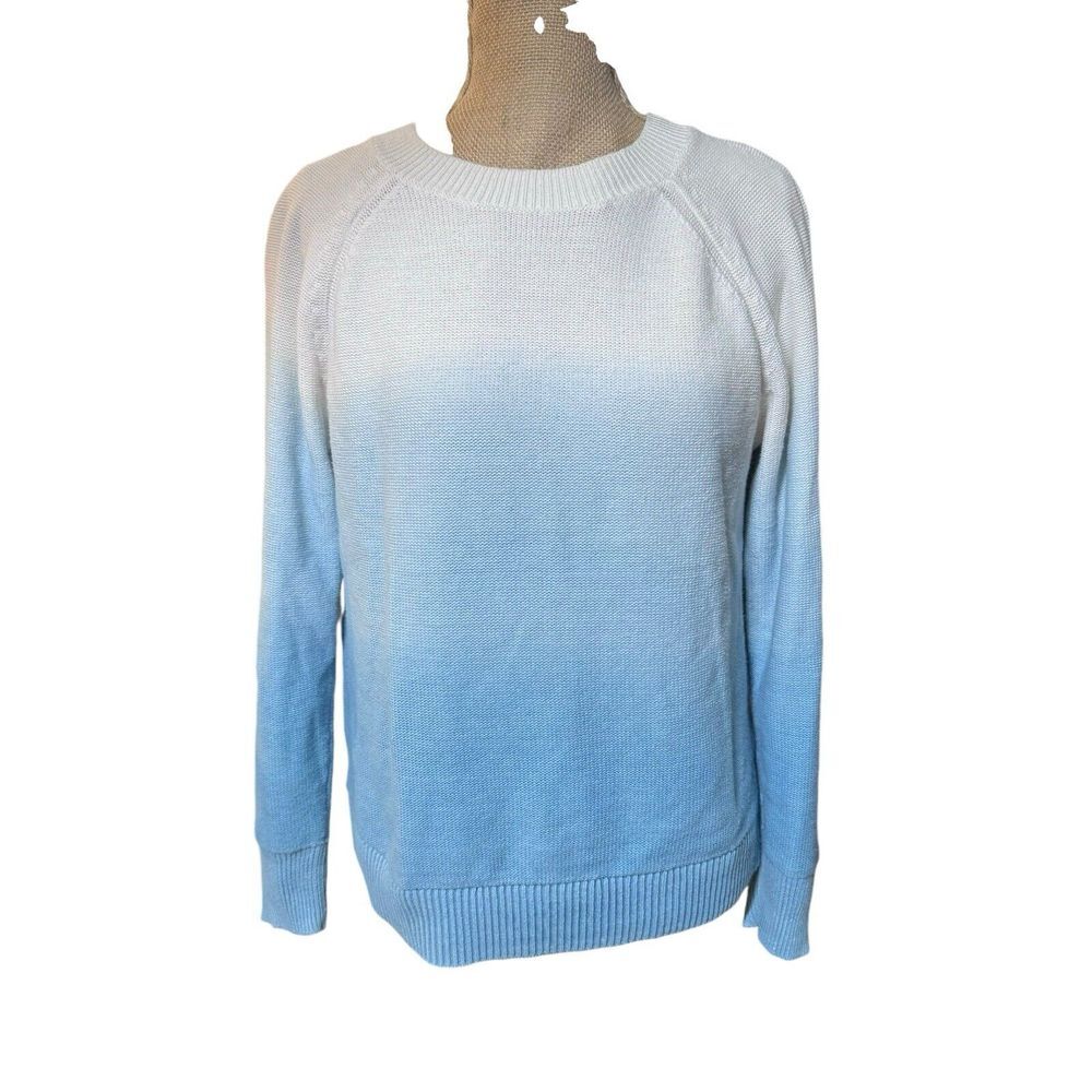 LOFT Blue and White Ombre Crew Neck Sweater